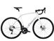 Велосипед Trek DOMANE SL 5 White/Quicksilver 54 5262879 фото